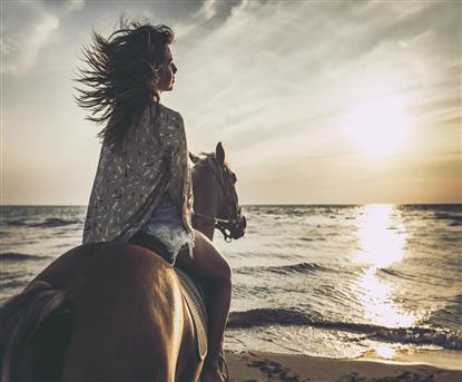 Marsa Alam: Sea and Desert Horse Riding Tour