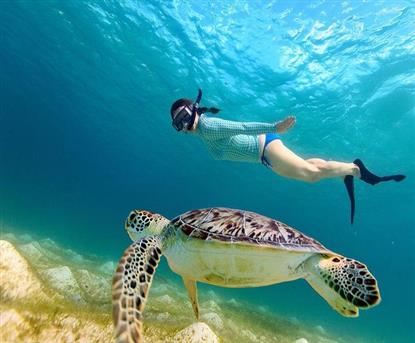 Private Turtle Excursion Abu Dabbab Snorkeling Tour