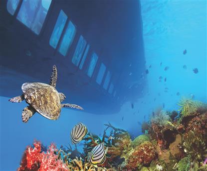 Royal Seascope Submarine Cruise with Snorkel Stop