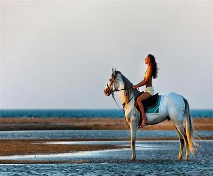 Beach and Desert Horse Riding Tour