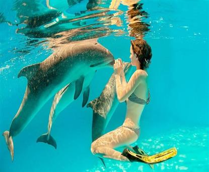Dolphin House VIP